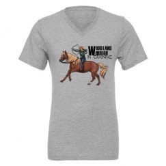 Unisex CVC Jersey V-Neck T-Shirt