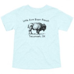 Toddler Triblend Tee