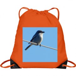 Port & Company Drawstring Cinch Bag