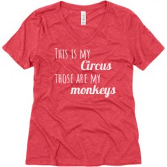 Ladies Relaxed Fit Super Soft Triblend V-Neck Tee