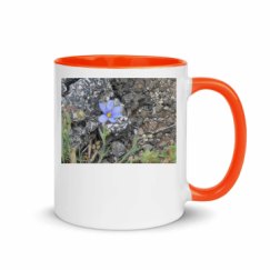 11oz Ceramic Mug with Color Inside
