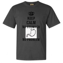 Adult Heavyweight T-Shirt