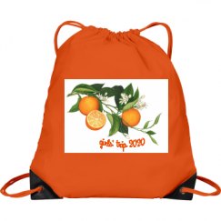 Port & Company Drawstring Cinch Bag