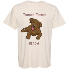 Adult Heavyweight T-Shirt