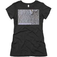Ladies Slim Fit Super Soft Triblend Tee