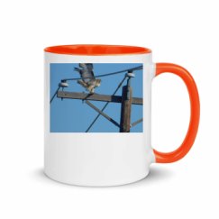 11oz Ceramic Mug with Color Inside