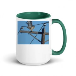 15oz Ceramic Mug with Color Inside