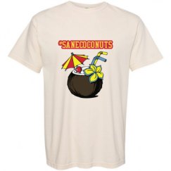 Adult Heavyweight T-Shirt