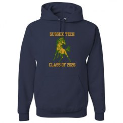 Unisex Basic Promo Hoodie