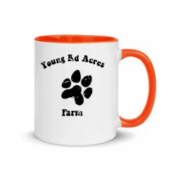 11oz Ceramic Mug with Color Inside