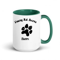 15oz Ceramic Mug with Color Inside