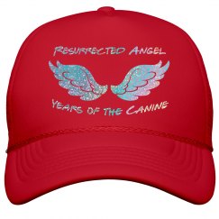 Resurrected Angel Hat w/ Glitter