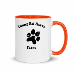 11oz Ceramic Mug with Color Inside