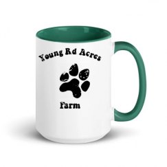 15oz Ceramic Mug with Color Inside