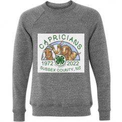 Unisex Triblend Crewneck Sweatshirt