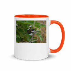 11oz Ceramic Mug with Color Inside