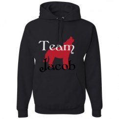 Unisex Basic Promo Hoodie