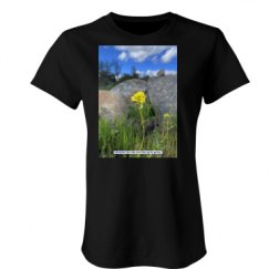 Ladies Slim Fit Favorite Tee