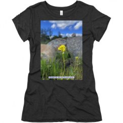 Ladies Slim Fit Super Soft Triblend Tee