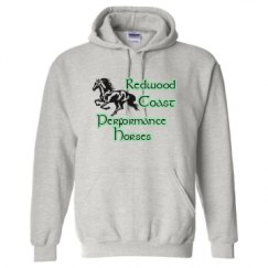 Unisex Basic Promo Hoodie