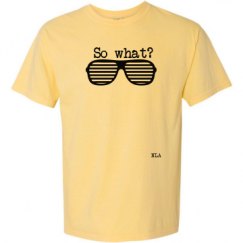 Adult Heavyweight T-Shirt