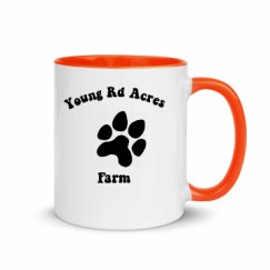 11oz Ceramic Mug with Color Inside