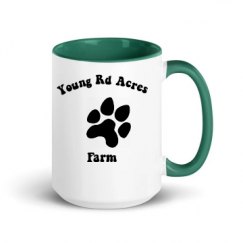 15oz Ceramic Mug with Color Inside