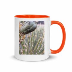 11oz Ceramic Mug with Color Inside