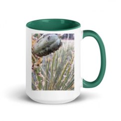 15oz Ceramic Mug with Color Inside