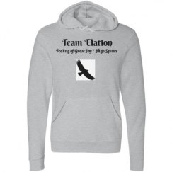 Unisex Fleece Pullover Midweight Hoodie