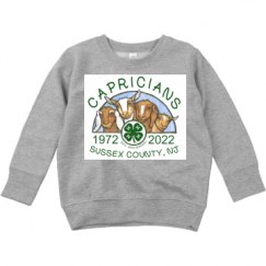 Toddler Crewneck Basic Promo Sweatshirt