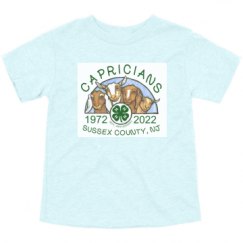 Toddler Triblend Tee