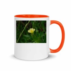11oz Ceramic Mug with Color Inside
