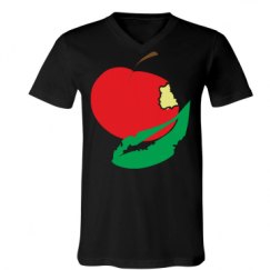 Unisex V-Neck Jersey Tee