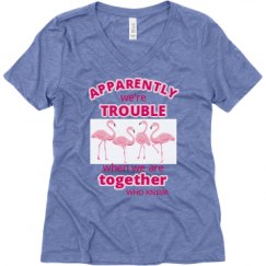 Ladies Relaxed Fit Super Soft Triblend V-Neck Tee