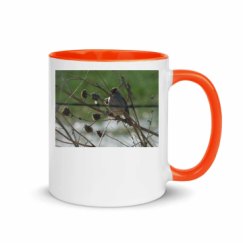 11oz Ceramic Mug with Color Inside