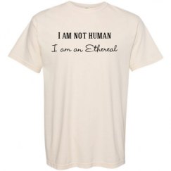 Adult Heavyweight T-Shirt