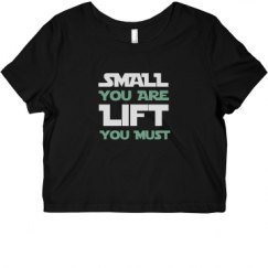 Ladies Slim Fit Crop Top Tee