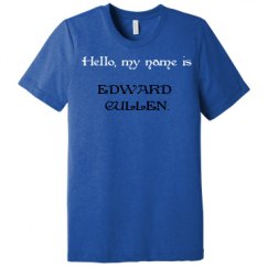 Unisex Triblend Tee