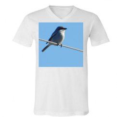Unisex V-Neck Jersey Tee