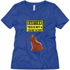 Ladies Relaxed Fit V-Neck Tee