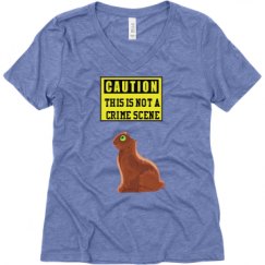 Ladies Relaxed Fit Super Soft Triblend V-Neck Tee