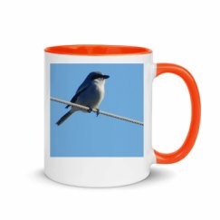 11oz Ceramic Mug with Color Inside