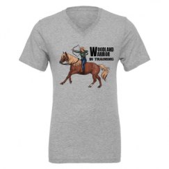 Unisex CVC Jersey V-Neck T-Shirt