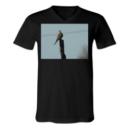 Unisex V-Neck Jersey Tee