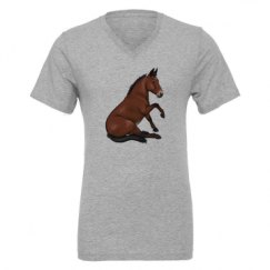 Unisex CVC Jersey V-Neck T-Shirt