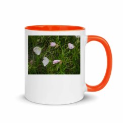 11oz Ceramic Mug with Color Inside