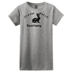 Ladies Basic Softstyle Tee