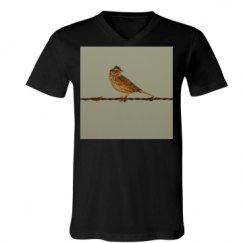 Unisex V-Neck Jersey Tee