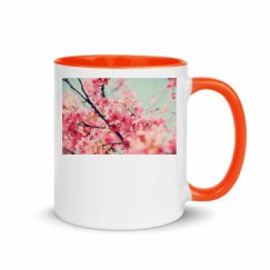 11oz Ceramic Mug with Color Inside